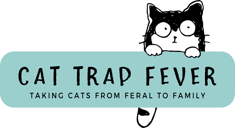 Cat Trap Fever